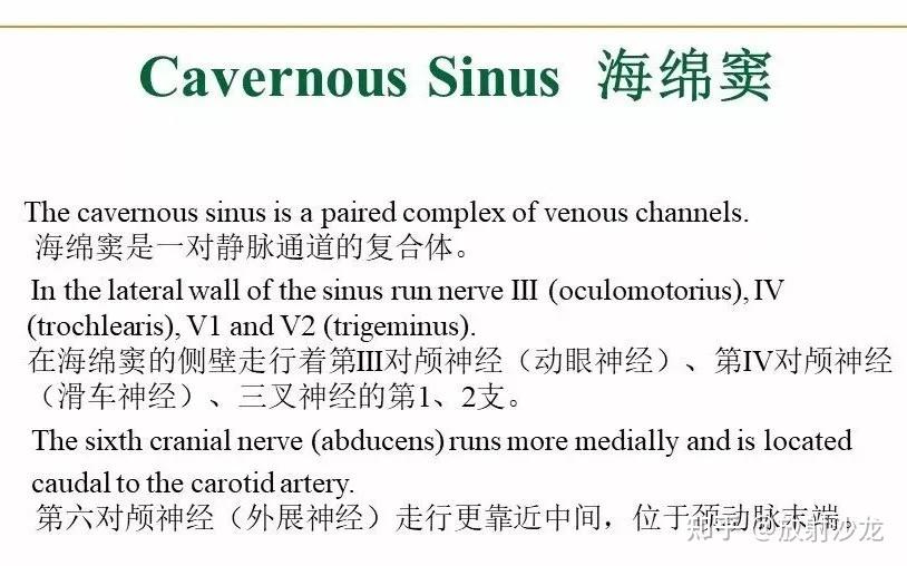【收藏】蝶鞍及鞍旁区域解剖 - 知乎