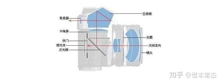 单反相机为什么叫单反,和无反相机的区别是什么呢? - 知乎