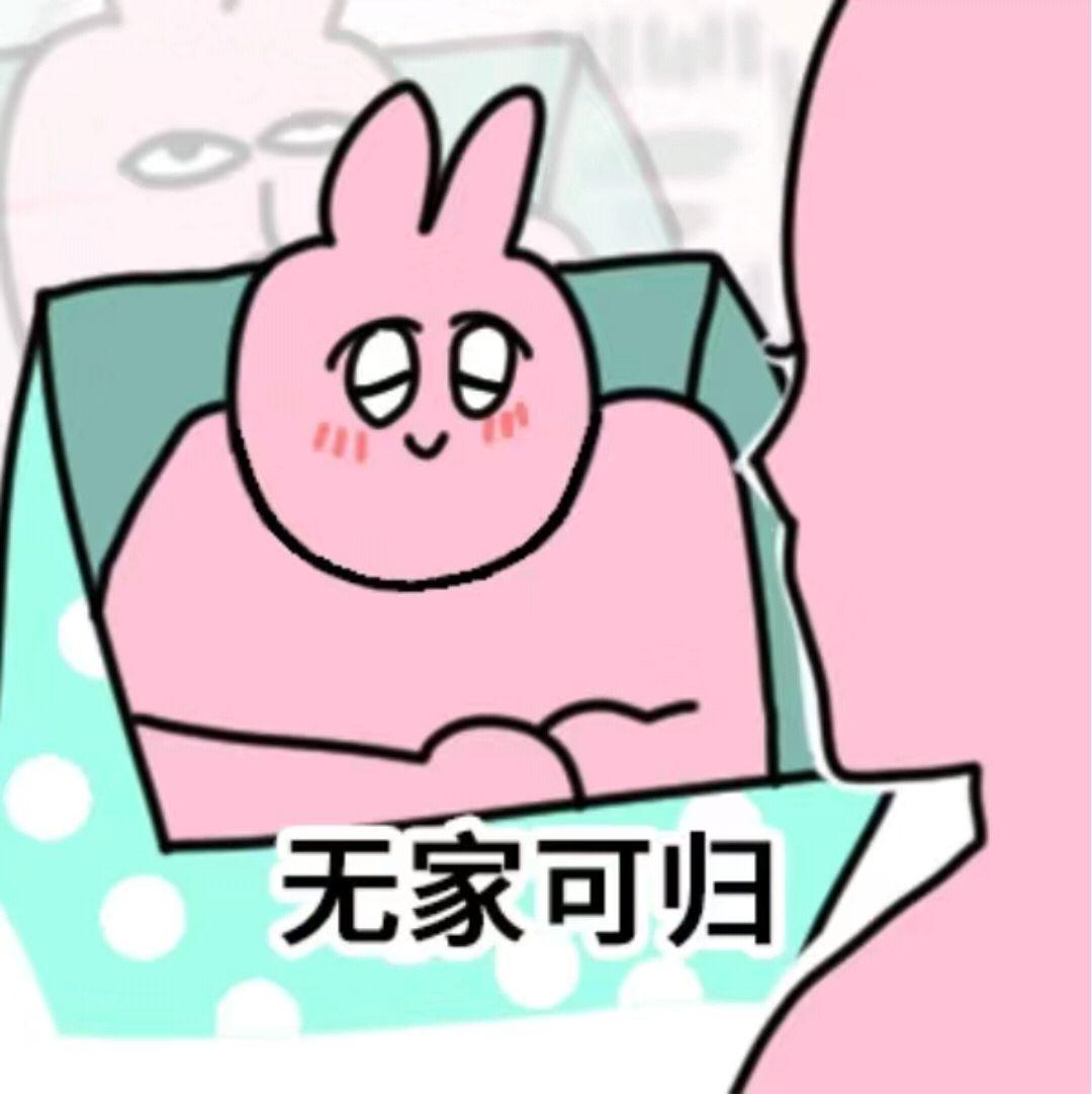有这种兔子的表情包吗? - 知乎
