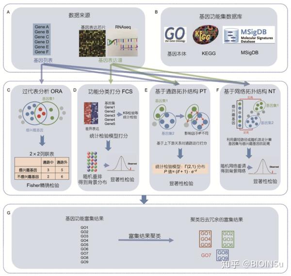 基因富集分析|理解 - 知乎