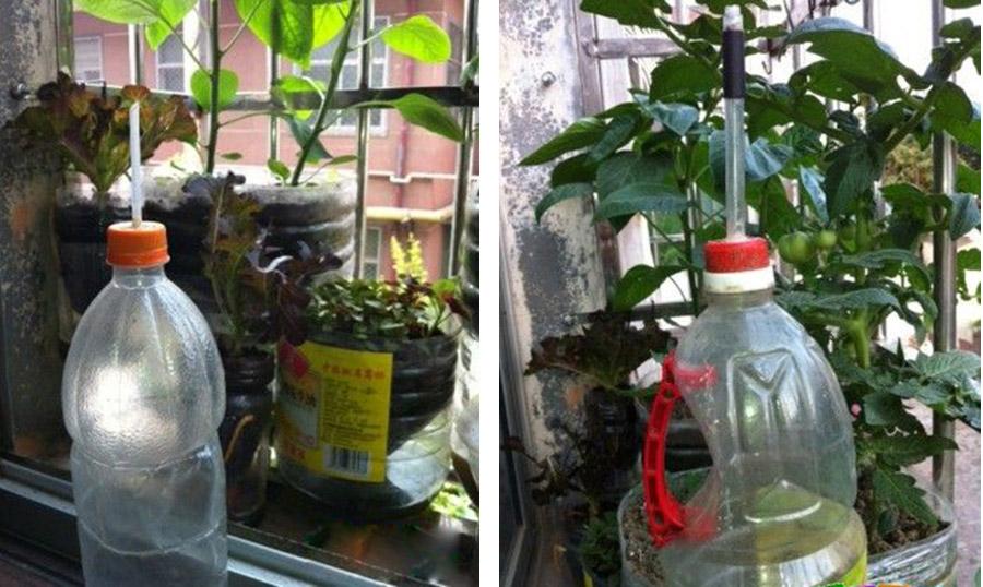 种菜教授8款自制家庭种菜神器催芽育苗播种浇水追肥