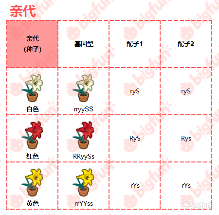 rio风险投资人/播客主播/前知乎工程师