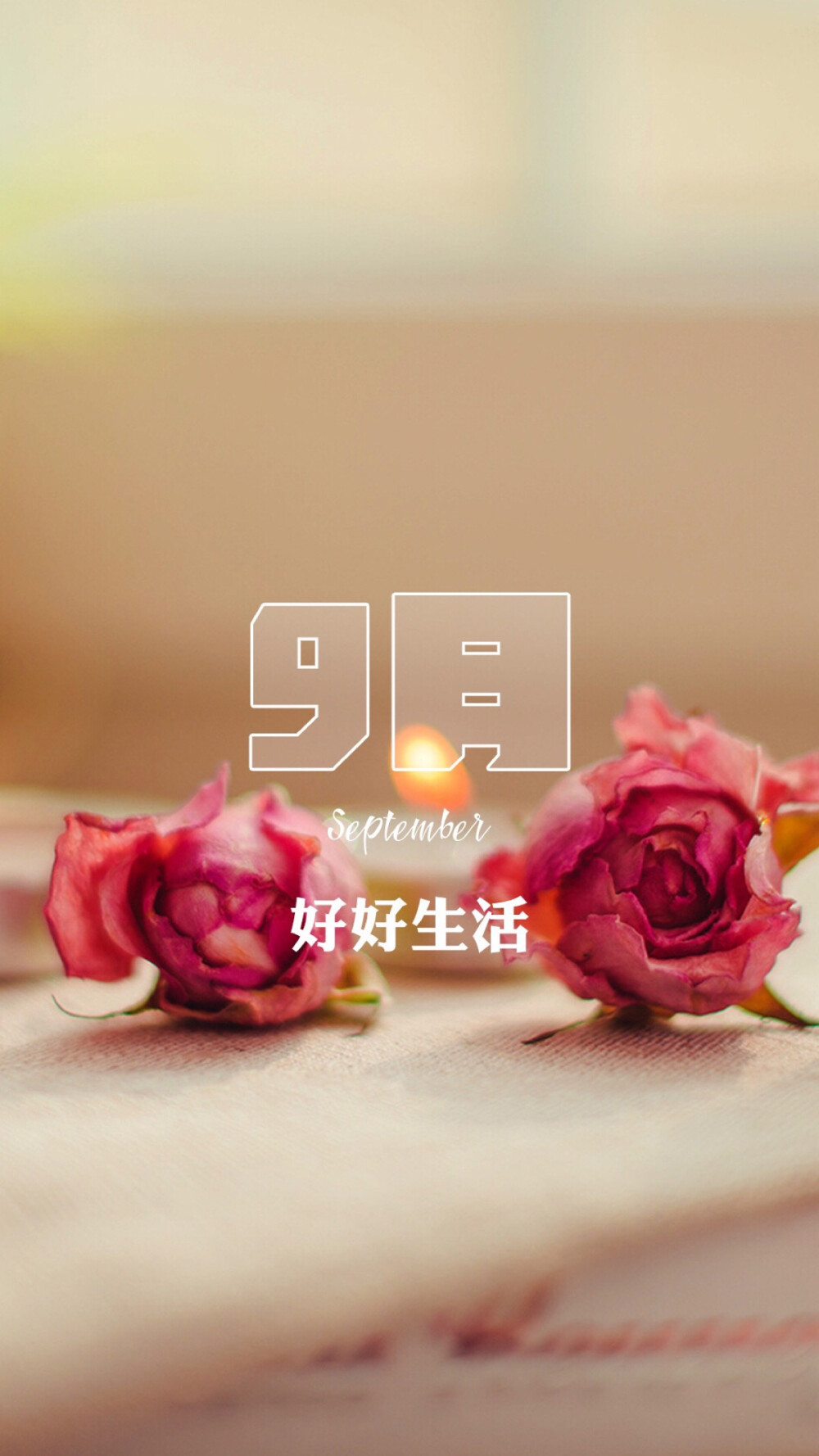 有没有适合2021年9月发的温柔文案和壁纸