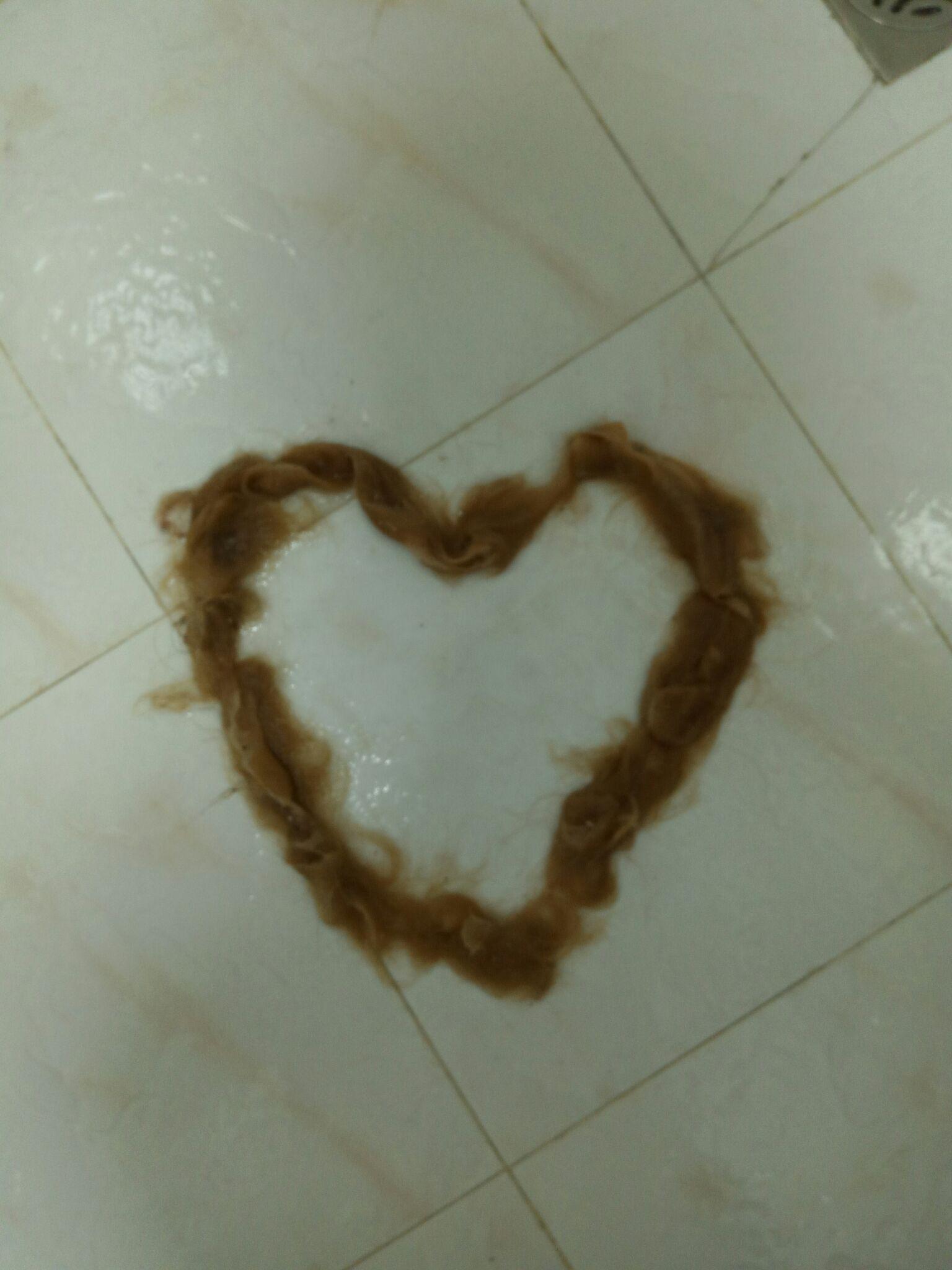 两个半月的金毛,吃生肉还熟肉? - 狗