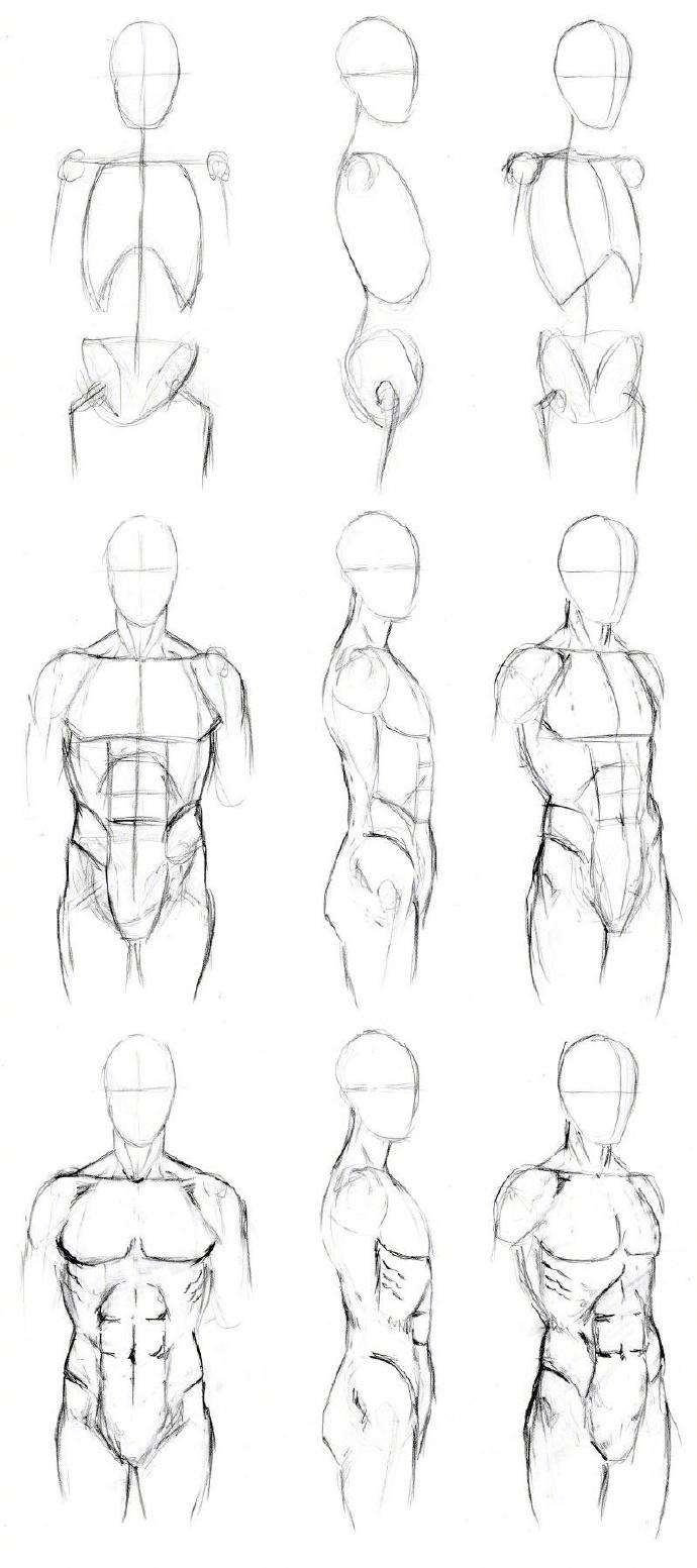 动漫绘画学习人物肌肉的画法技巧诀窍