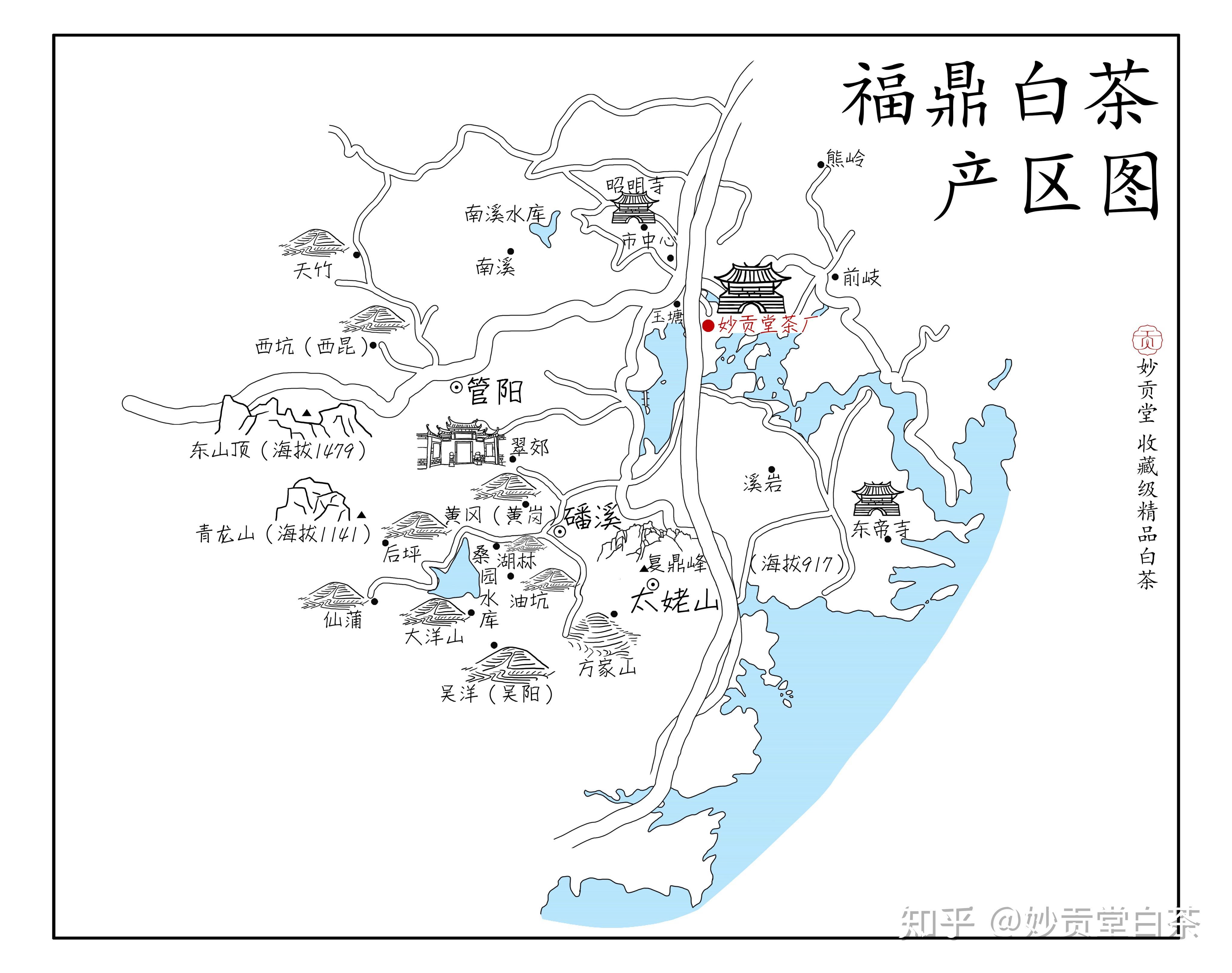 福鼎白茶和政和白茶有什么区别? - 知乎
