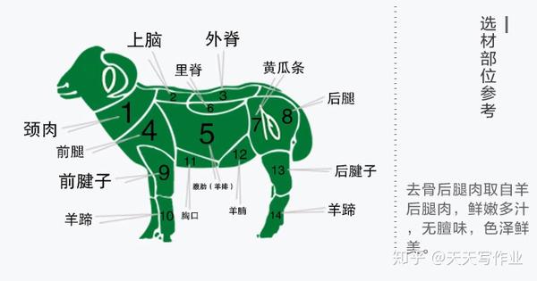 杀羊下刀位置示意图图片