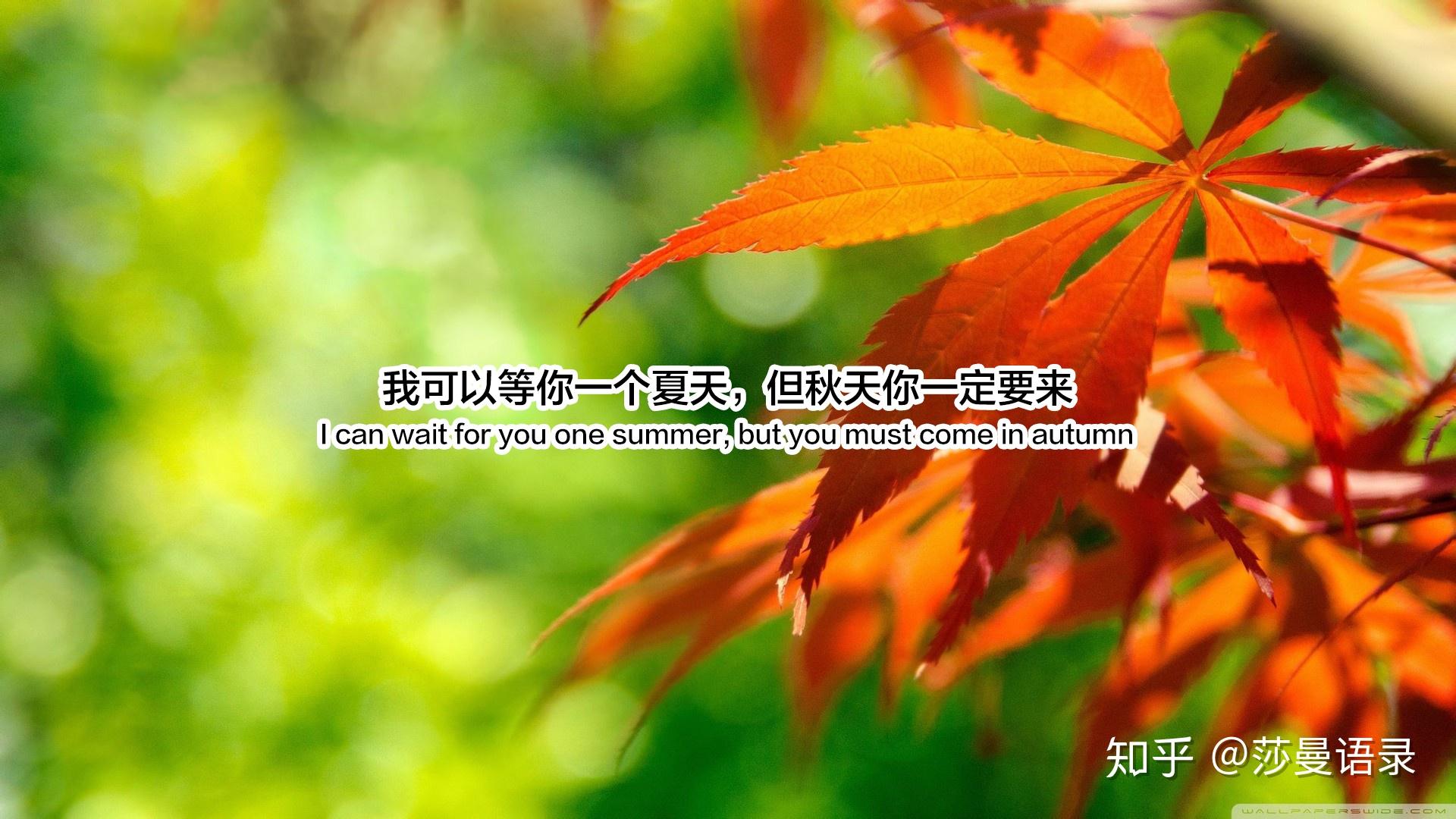 迎接秋天的温柔句子不知不觉已是秋忙忙碌碌又一年