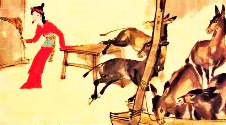 新编唐传奇 板桥三娘子的恐怖旅店 知乎