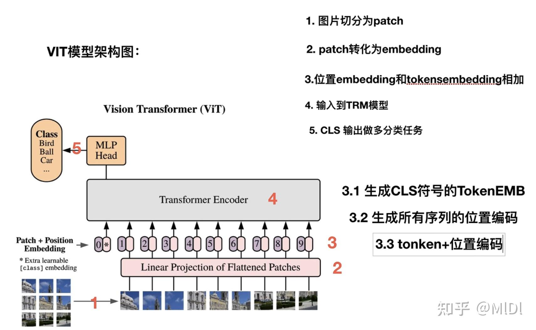 Vision Transformer in Classification 知乎