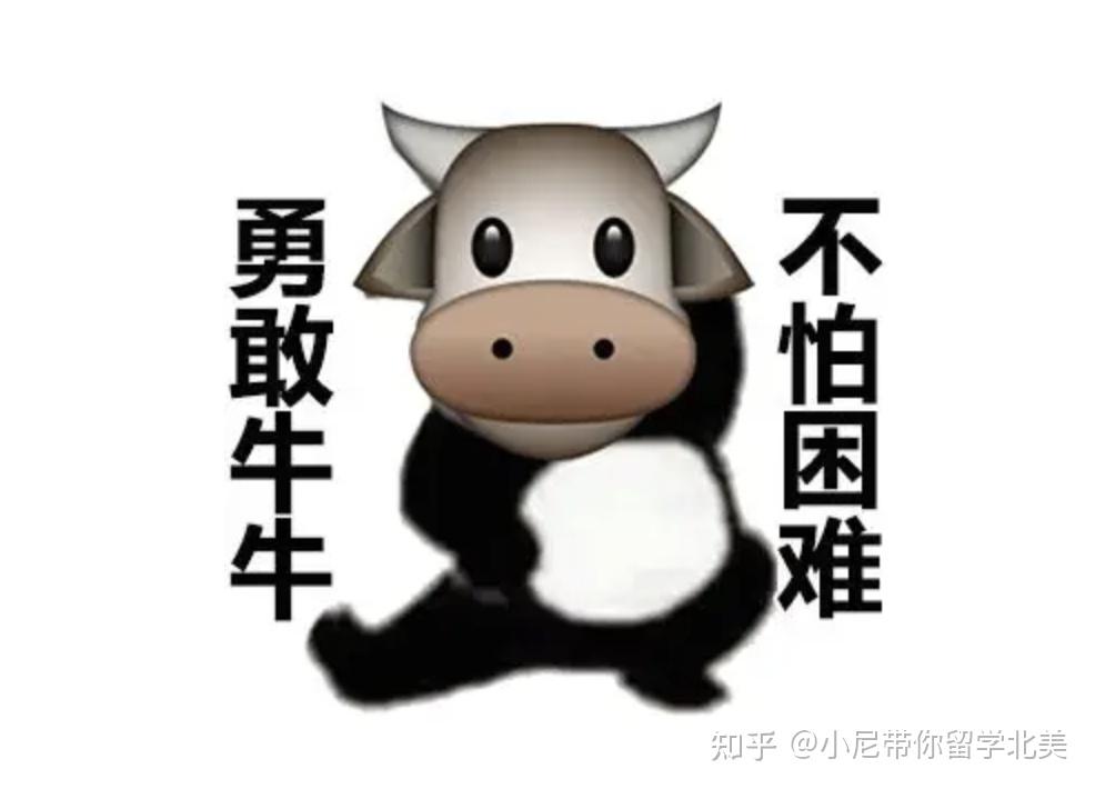 都说加拿大ossd课程好带你轻松拿捏ossd理科课程