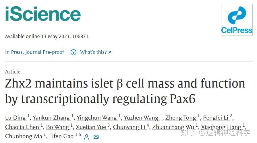 Iscience︱山东大学马春红团队报道zhx2调控胰岛β细胞功能和数量抑制糖尿病进展 知乎