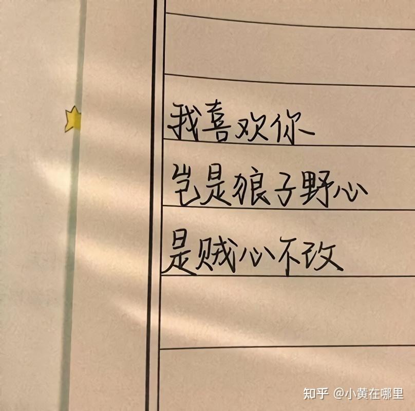 收集小眾且溫柔暗戀文案