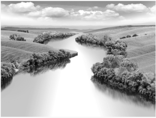 宝藏昇腾AI应用推荐!CANN带你体验黑白图像自动上色的快乐~ 宝藏昇腾AI应用推荐!CANN带你体验黑白图像自动上色的快乐~