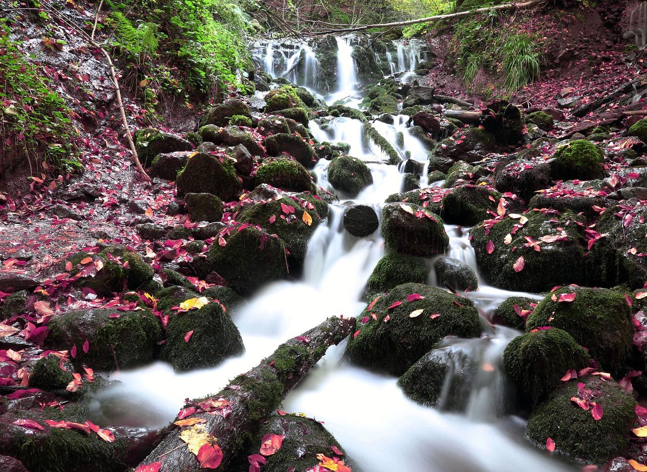 3. 自然资源丰富