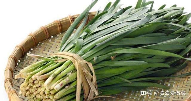 韭菜的营养价值也是很高的,它含有丰富的维生素c,胡萝卜素,纤维素等等