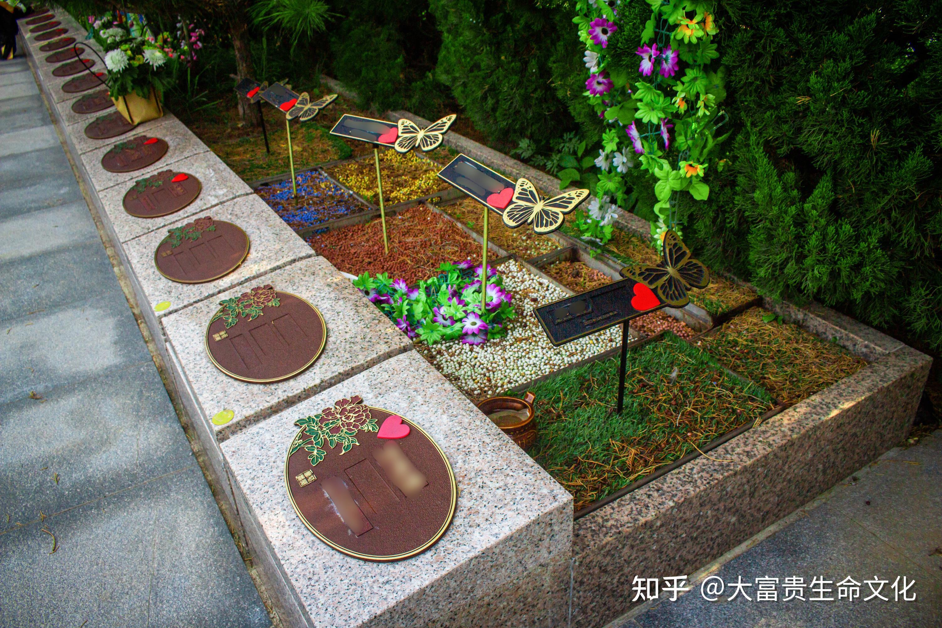 百年之后，你会选择树葬吗？ - 知乎