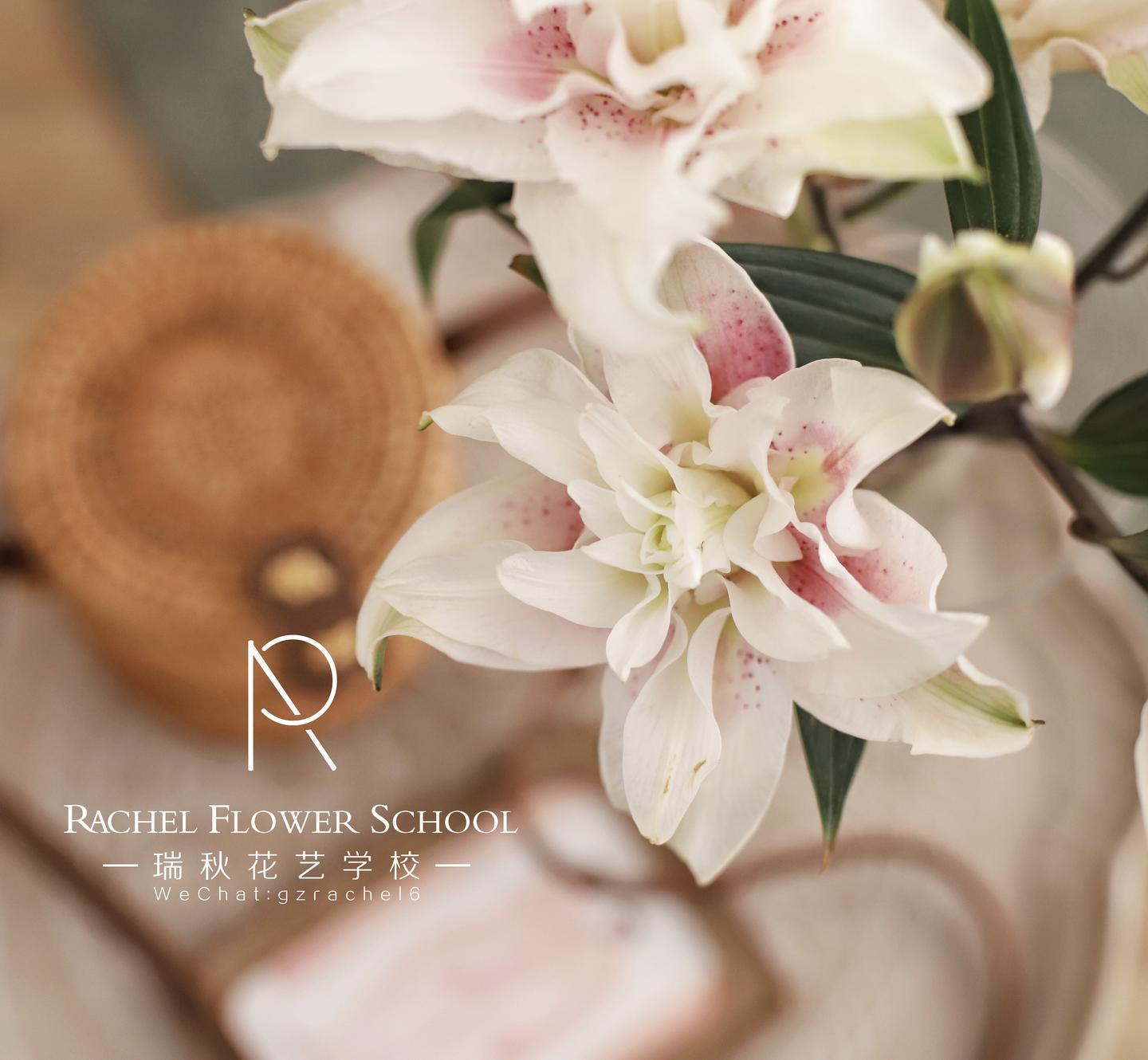 干货分享 花艺师必知的百合及选购要点 知乎