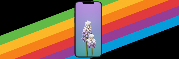 Ios 11 Gm 版固件泄露 新iphone 更多细节提前被曝光 知乎