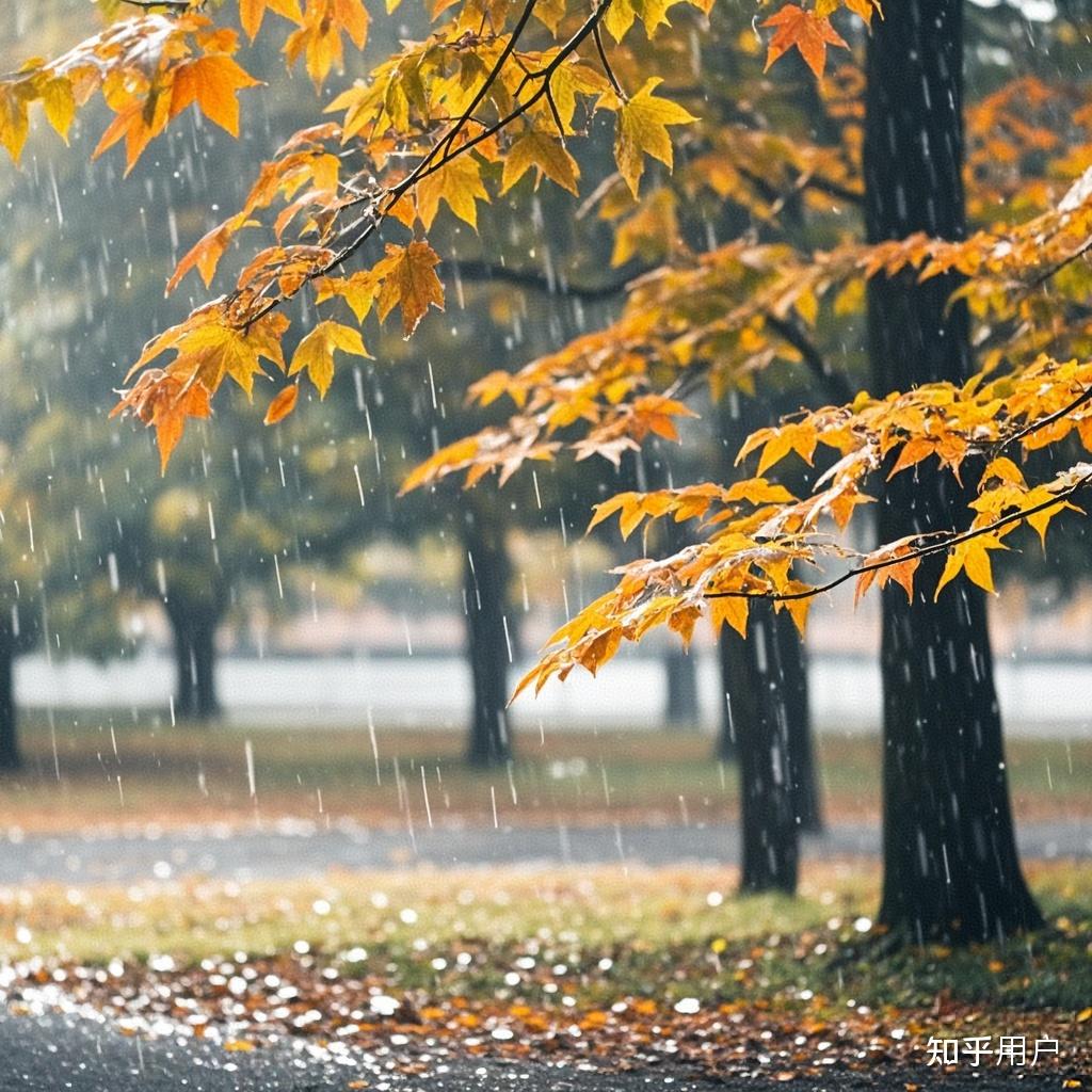 描写秋天下雨的句子有哪些?