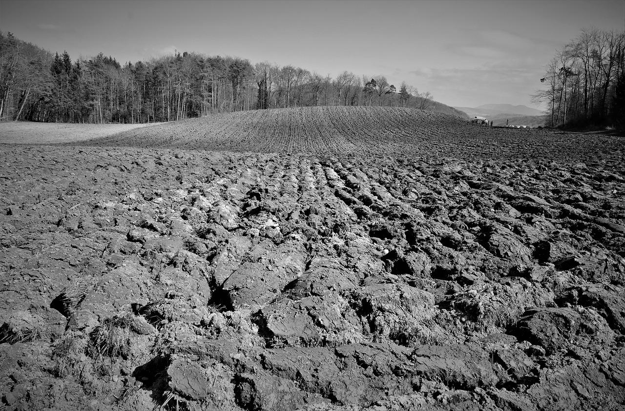 4. 公用设施布局