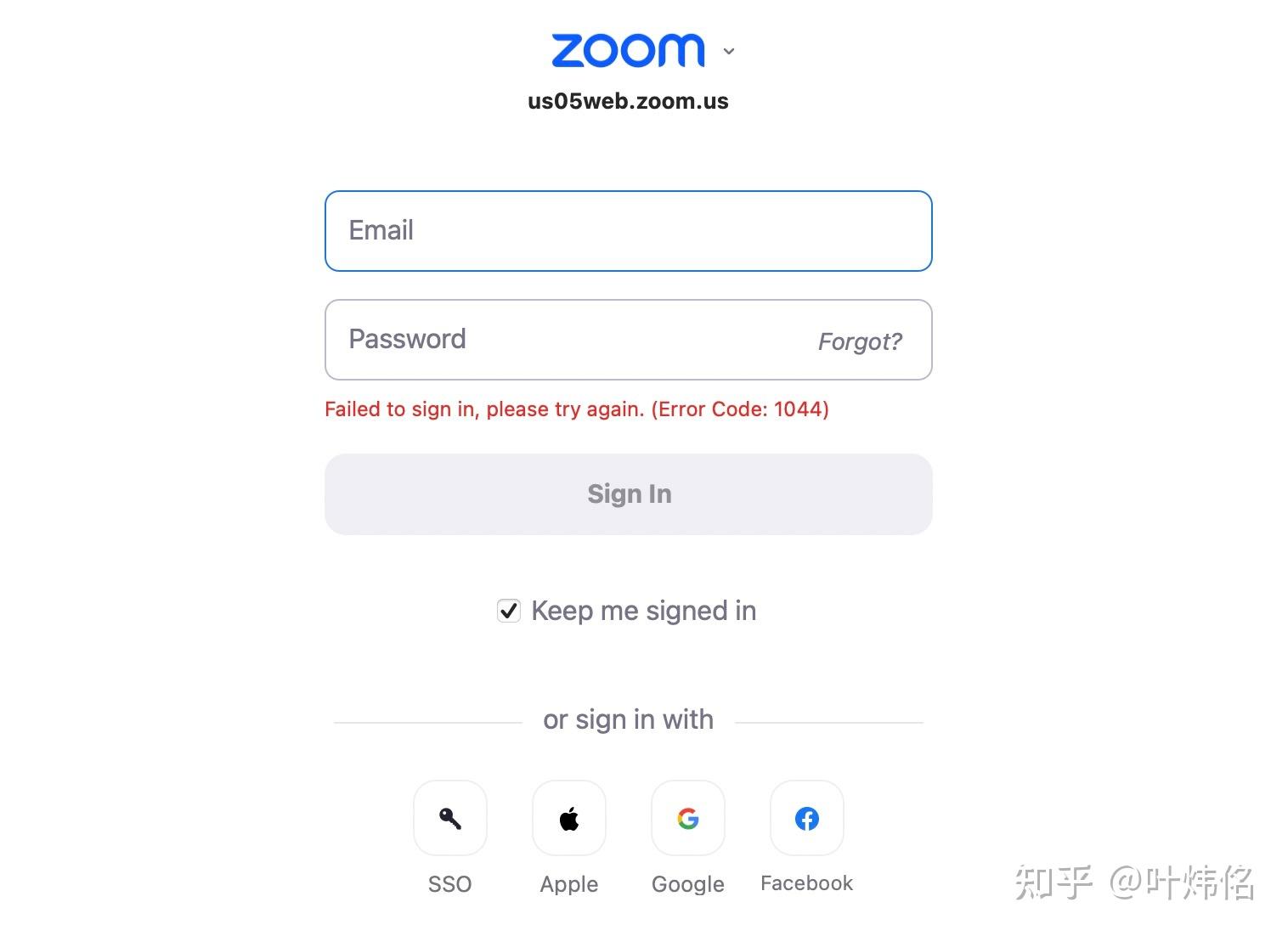 zoom