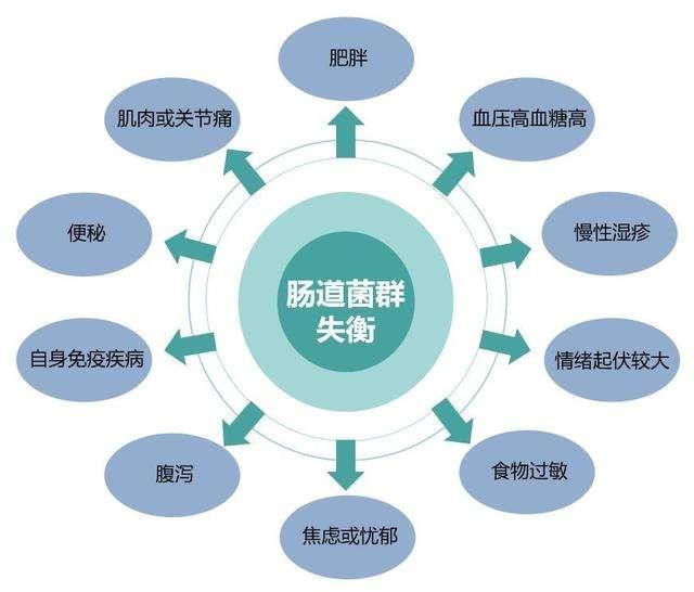 涨知识酵素中的益生菌原来是这样调节肠道菌群的