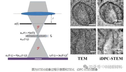 iDPC-STEM技术的原理及优势 - 知乎