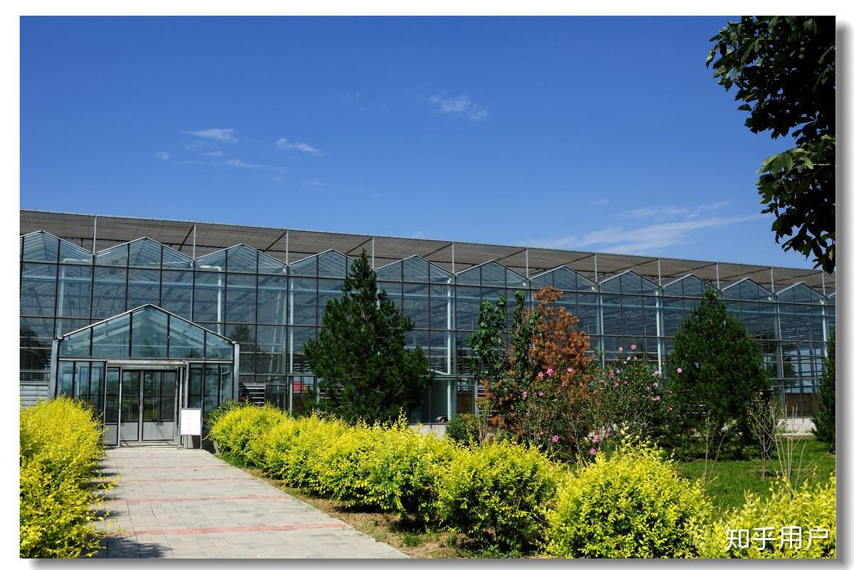 在基本农田上能盖大棚吗