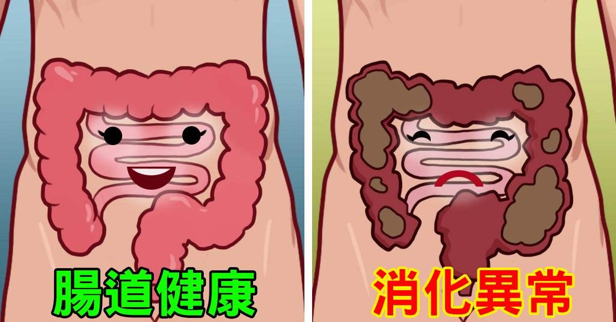 便秘者福音全面清扫肠道让肠道一通到底