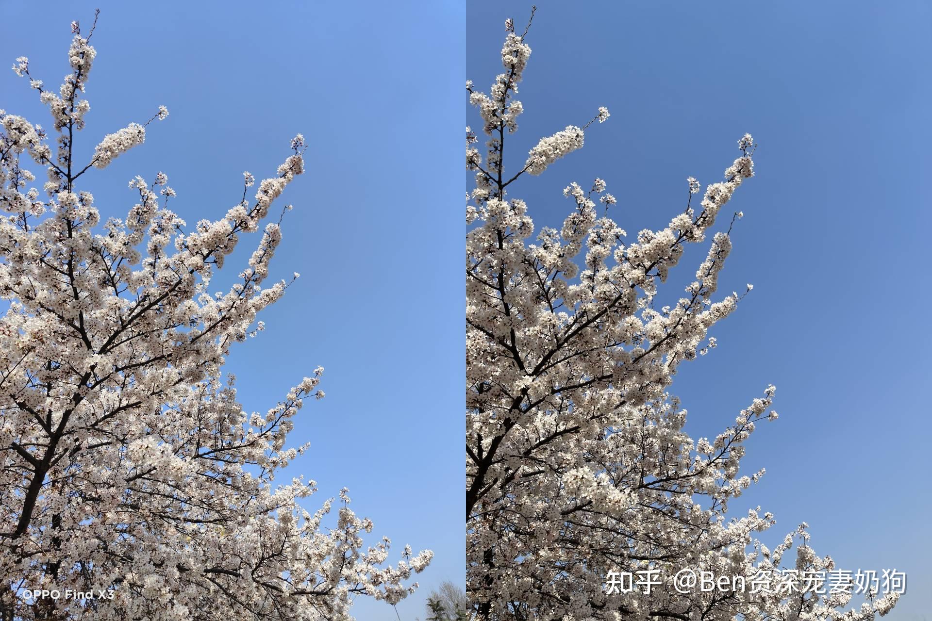 oppofindx3实际体验如何不吹不黑我还对比了iphone12promax