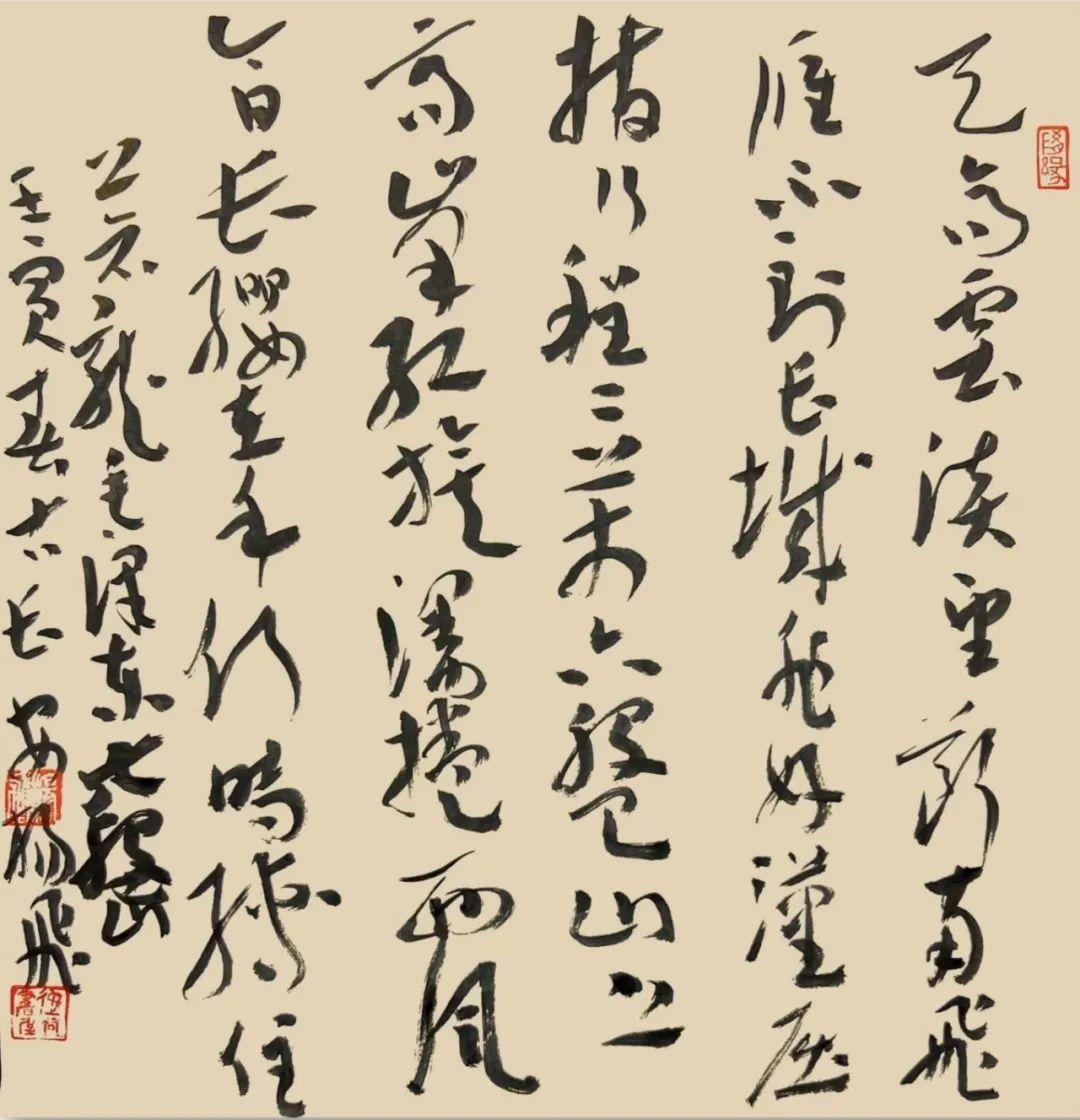 中国书画形象大使—— 杨飞 - 知乎