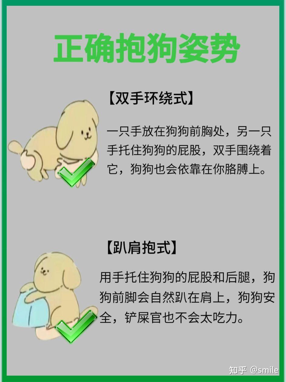 你真的会抱狗嘛正确抱狗方式