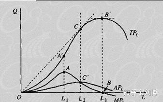 经济学总量是用微观经济学完成的_微观经济学思维导图