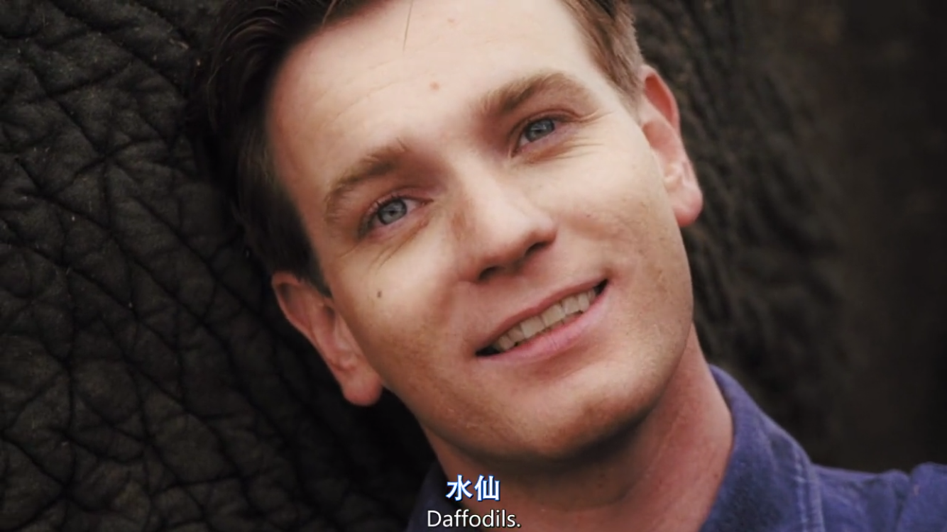 如何评价伊万·麦克格雷格 (ewan mcgregor) 的演技?