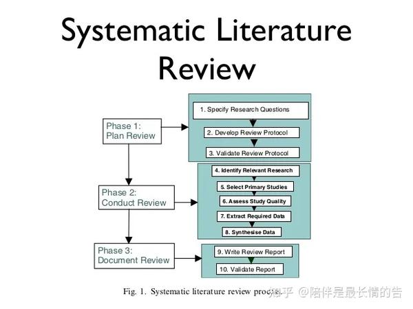 advantages and disadvantages of systematic literature review