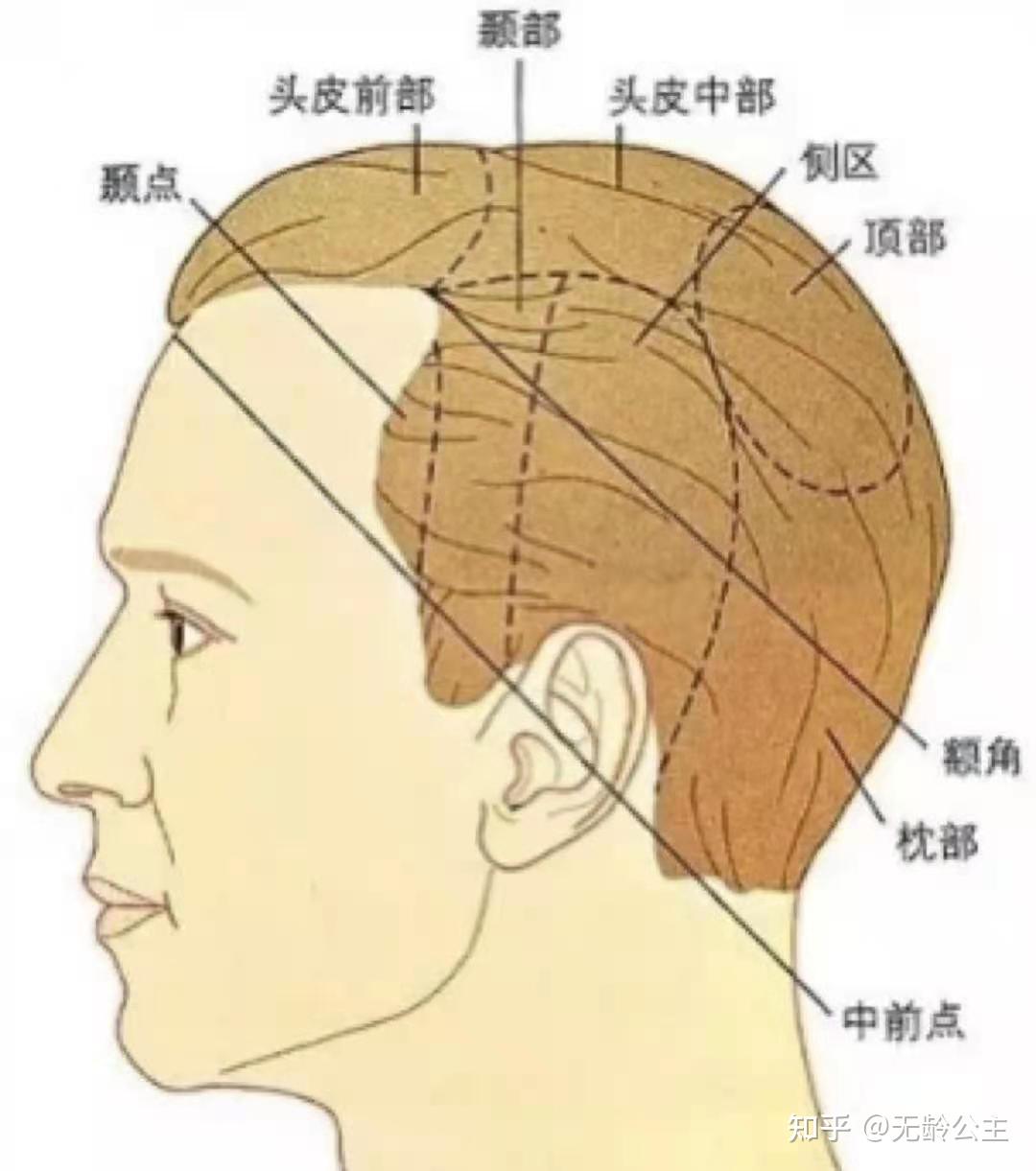 你的发际线审美大全!【建议收藏】 - 知乎