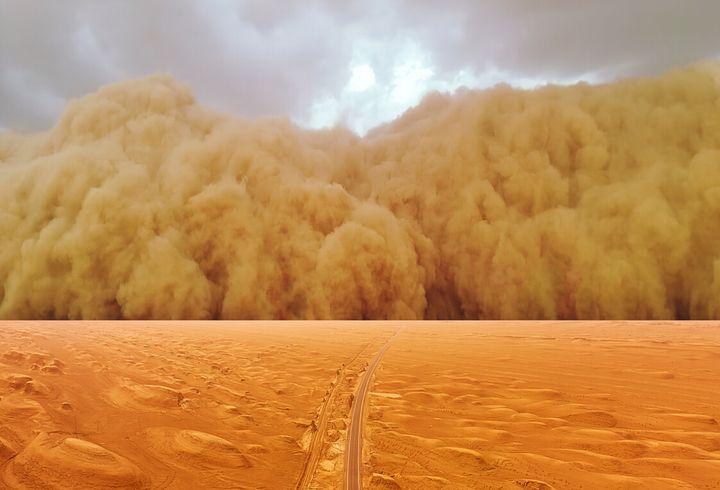 在蒙古国种植10亿棵树能消灭沙尘暴吗中蒙正联手实施一项计划