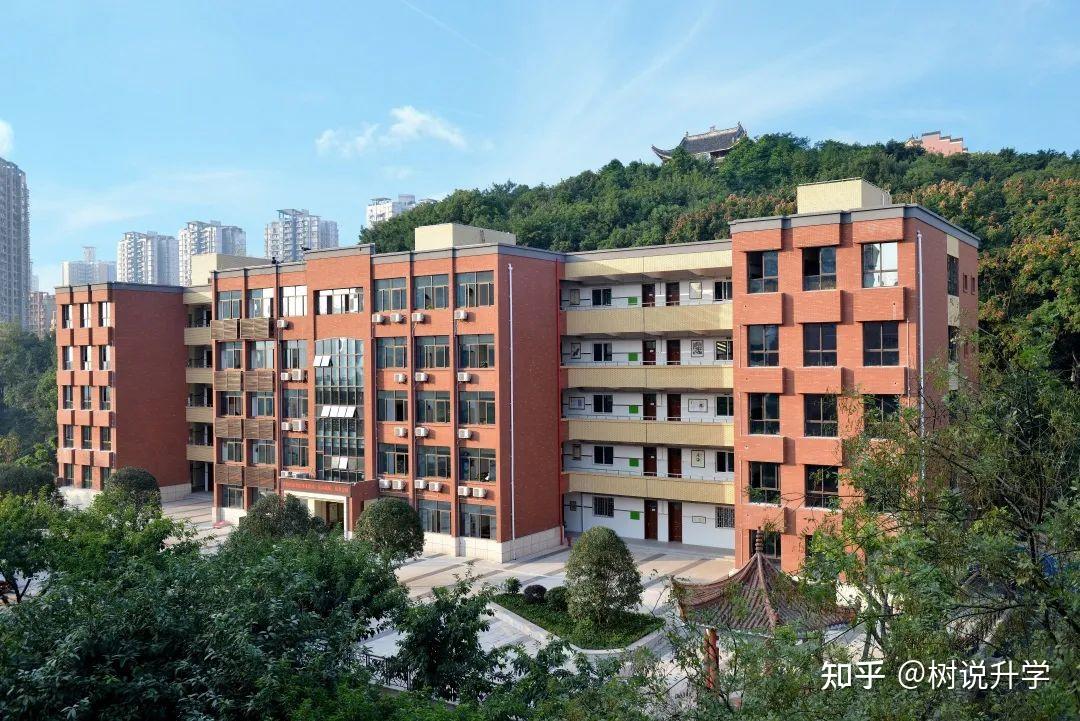 重庆特长生招生合集最早4月10日截止报名