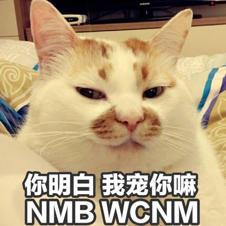 有哪些瞬间「 hold 住全场 」的表情包?