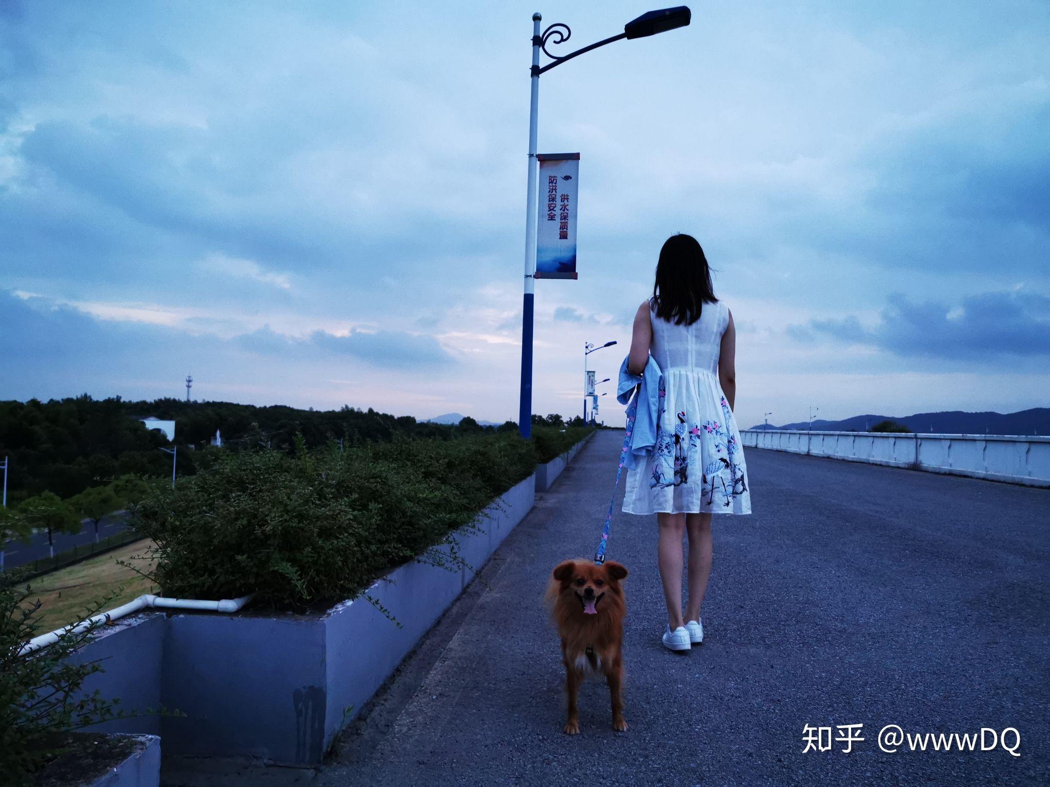 如何真实评价华为 P30 pro 手机?