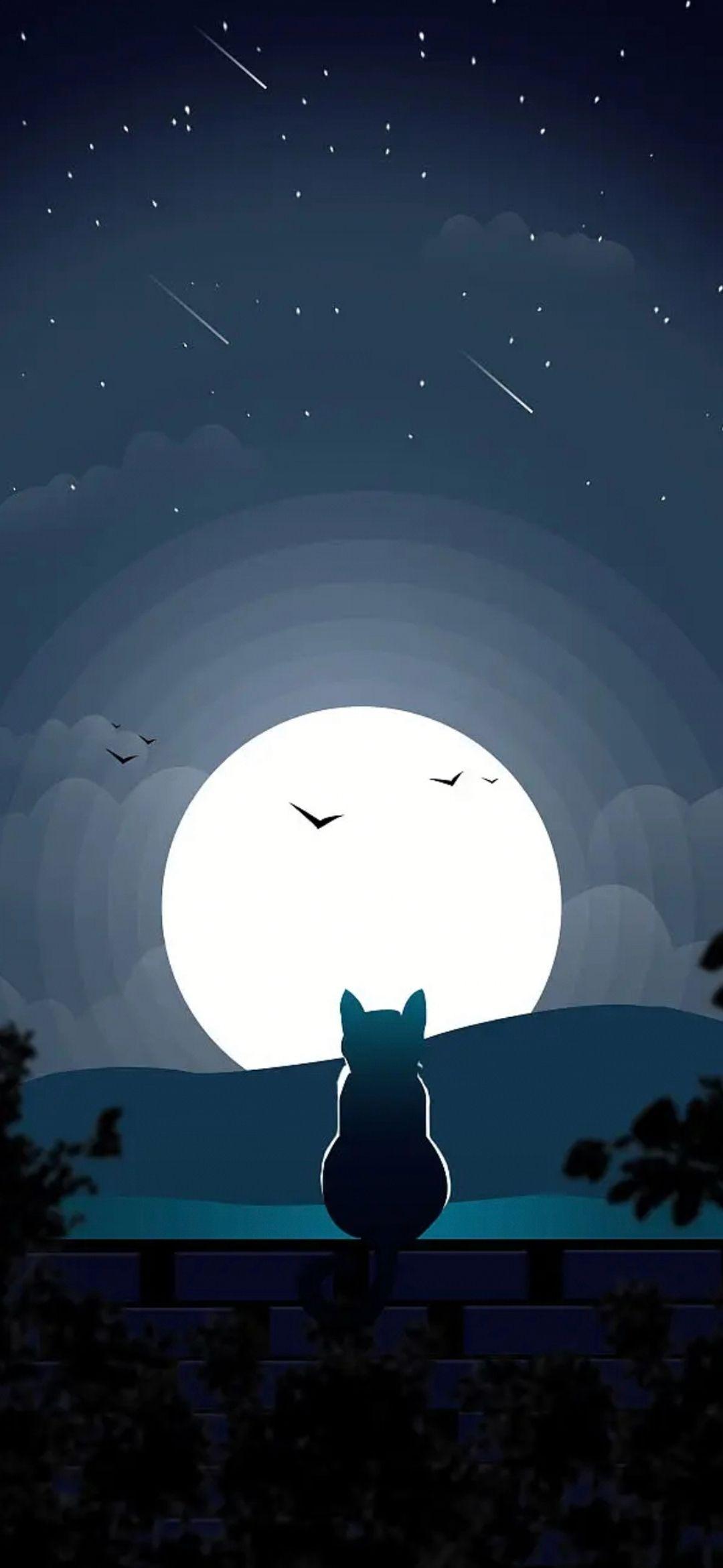 有没有月亮与猫同屏的壁纸(无水印)? - 知乎