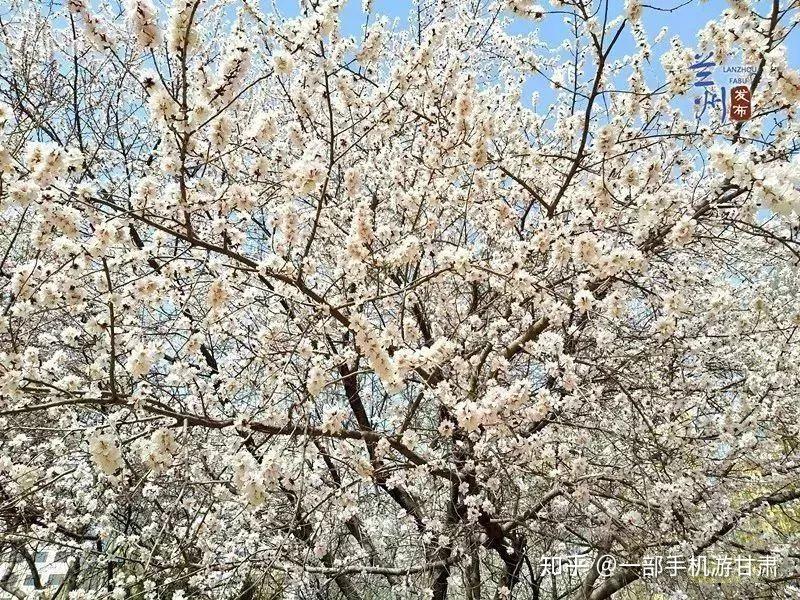 兰州理工大学
