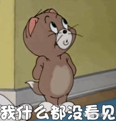 鹅鸭杀(Gooe Gooe Duck)规则攻略(简易科普向)(又称《五年做鸭,三年当鹅》) 第3张 鹅鸭杀(Gooe Gooe Duck)规则攻略(简易科普向)(又称《五年做鸭,三年当鹅》) 第3张