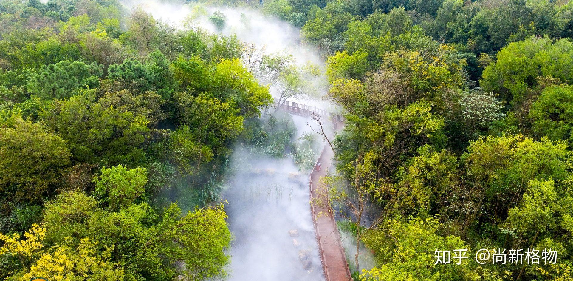 尚格雾森人造雾系统打造人间仙境森林公园