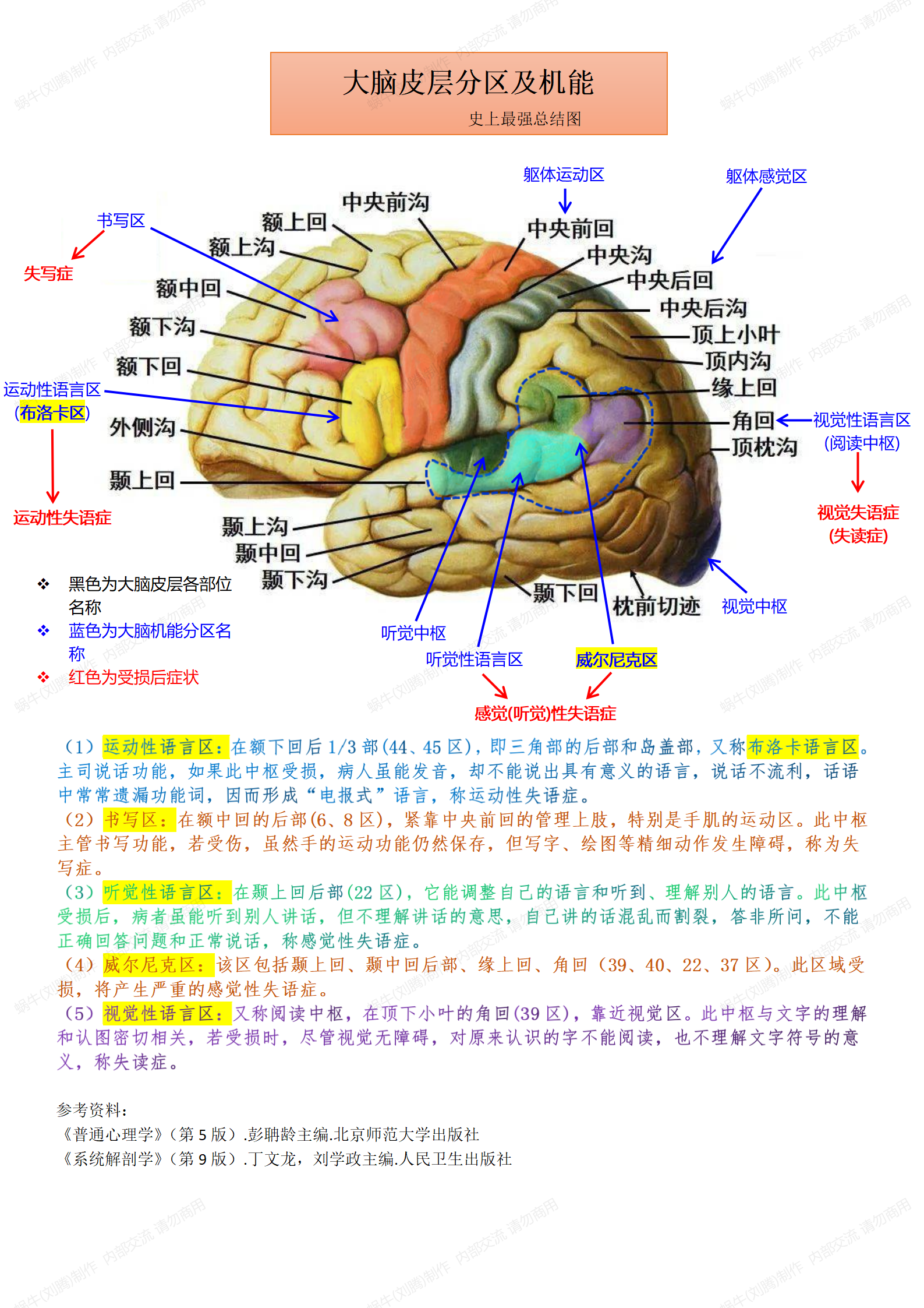 大脑皮质的功能定位图图片