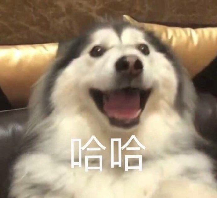 白沙楼盘文案沙雕,白沙楼盘都有哪些