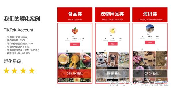 ...第一波市场红利吗_国内首家TikTok代运营服务开始了_知乎_(tiktok代运营)