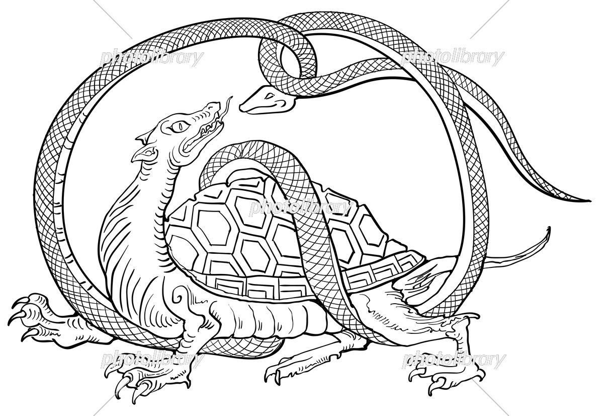 神兽玄武应该什么样?