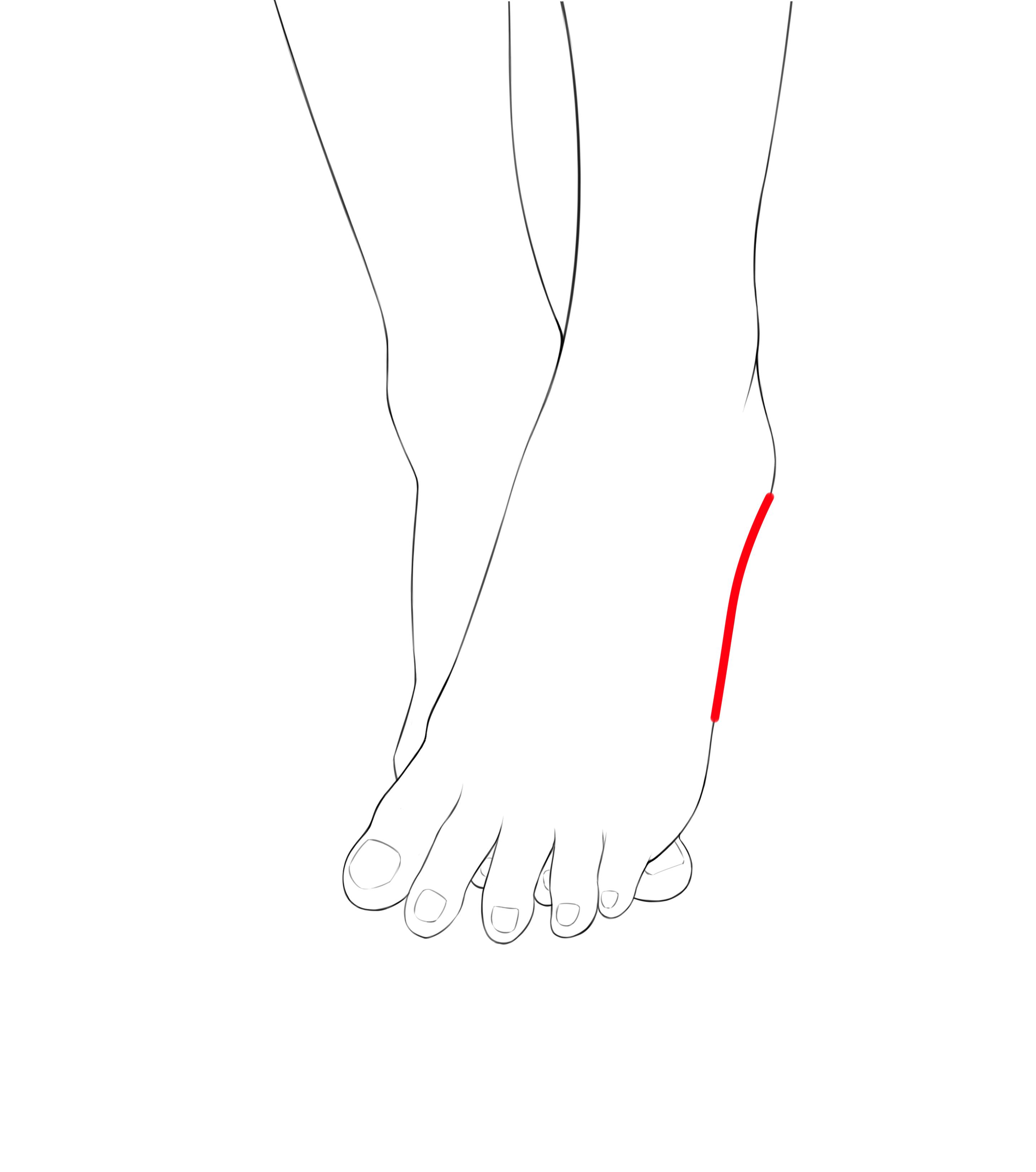 女生脚的画法脚心图片